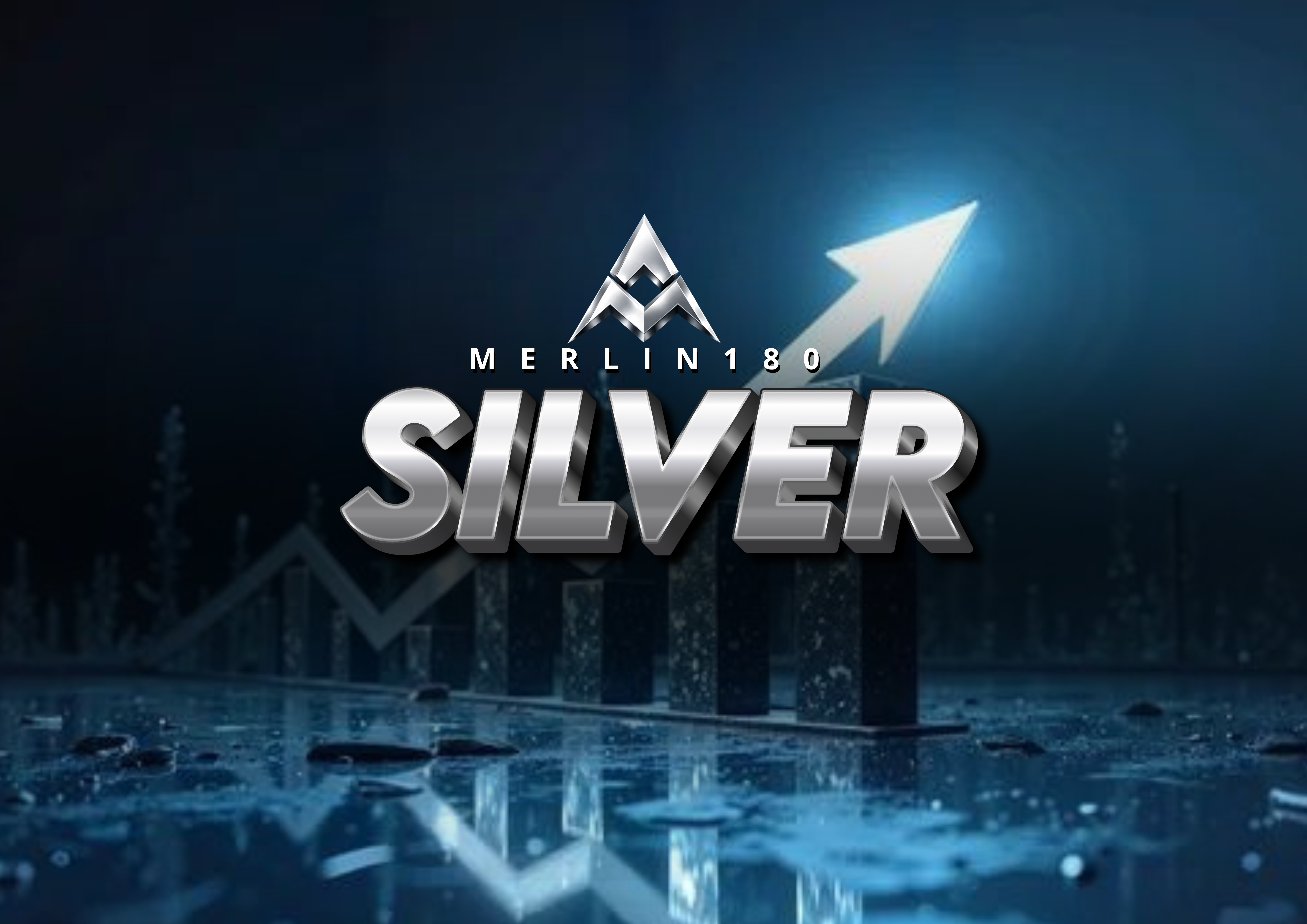ACCION SILVER